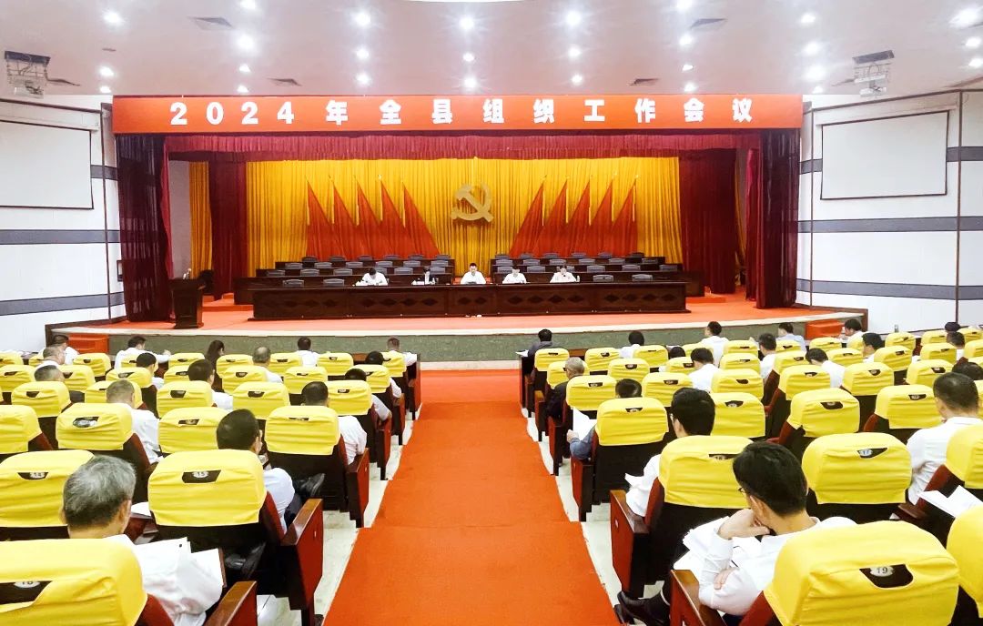 临高县2024年组织工作会议召开 唐守兵作批示